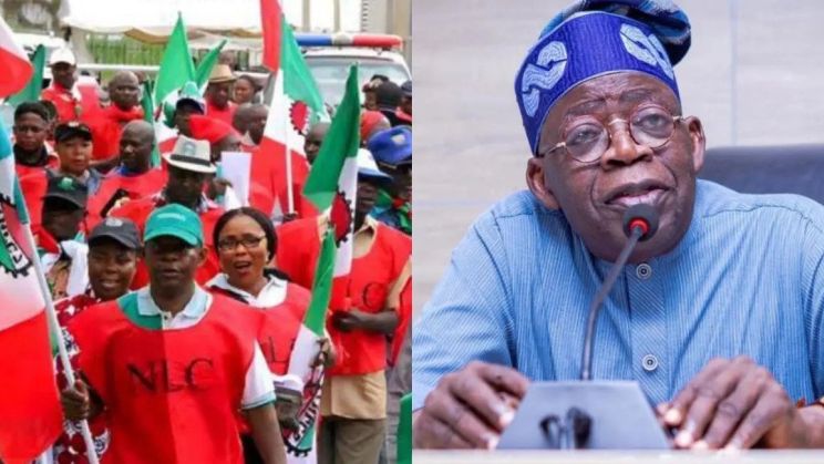 Tinubu has Instant Solution for Impact of Subsidy Elimination - Oshiomhole